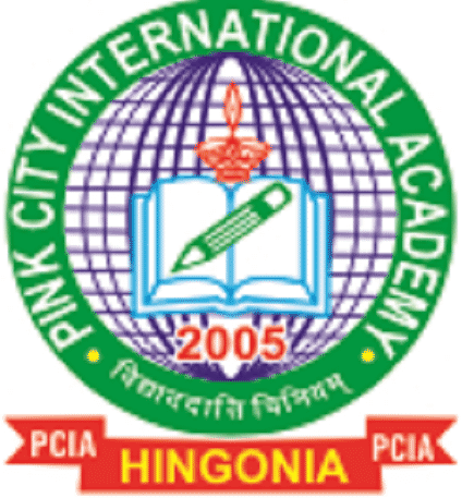 pink city school