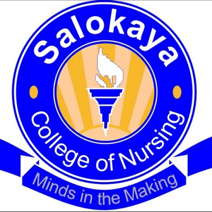 salokaya school